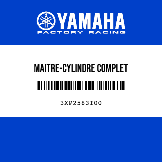 MAITRE-CYLINDRE COMPLET