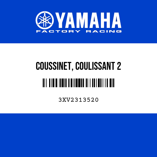 COUSSINET, COULISSANT 2