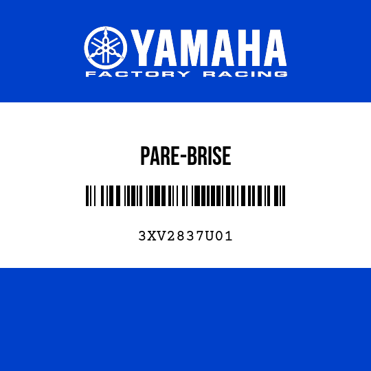 PARE-BRISE