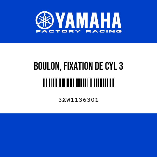 BOULON, FIXATION DE CYL 3