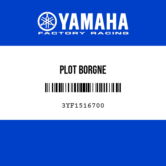 PLOT BORGNE