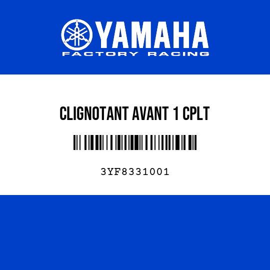 CLIGNOTANT AVANT 1 CPLT