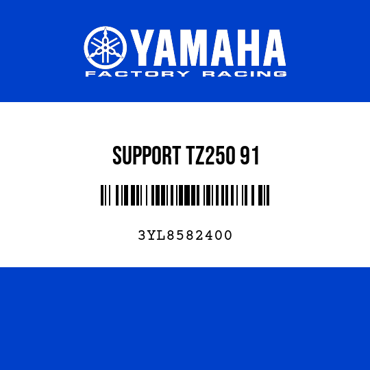 SUPPORT TZ250 91