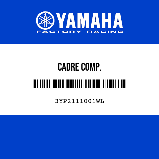 CADRE COMP.