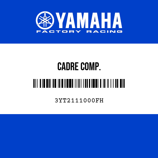 CADRE COMP.