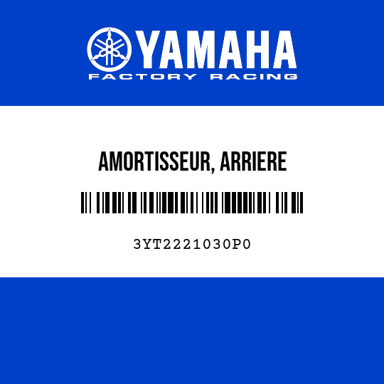 AMORTISSEUR, ARRIERE