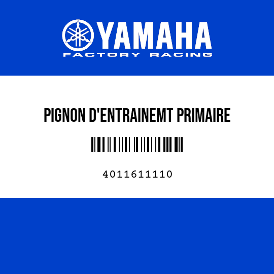 PIGNON D'ENTRAINEMT PRIMAIRE