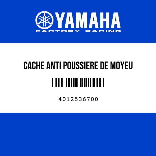 CACHE ANTI POUSSIERE DE MOYEU