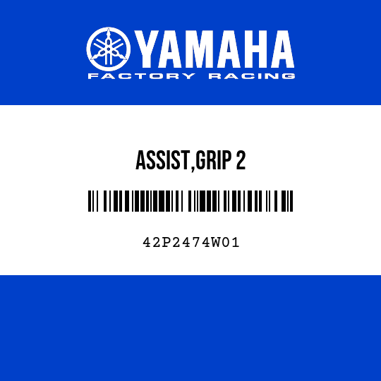 ASSIST,GRIP 2