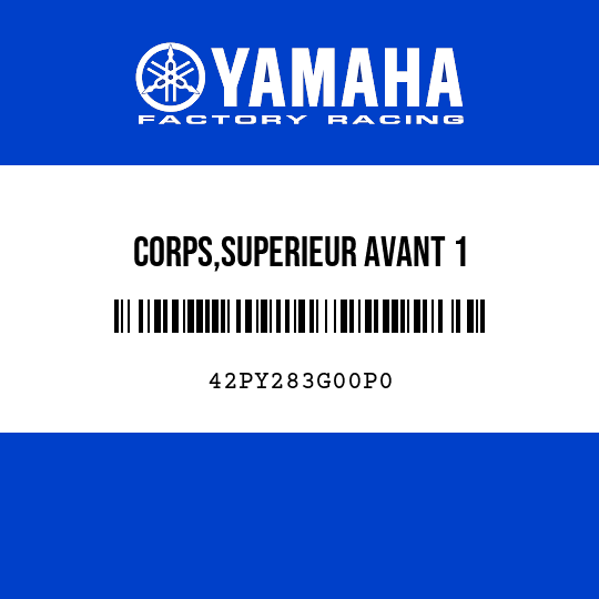 CORPS,SUPERIEUR AVANT 1