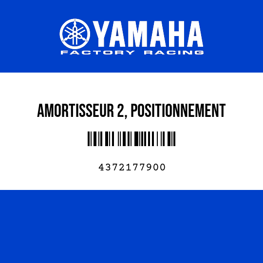 AMORTISSEUR 2, POSITIONNEMENT