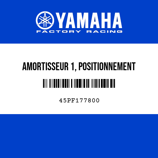 AMORTISSEUR 1, POSITIONNEMENT