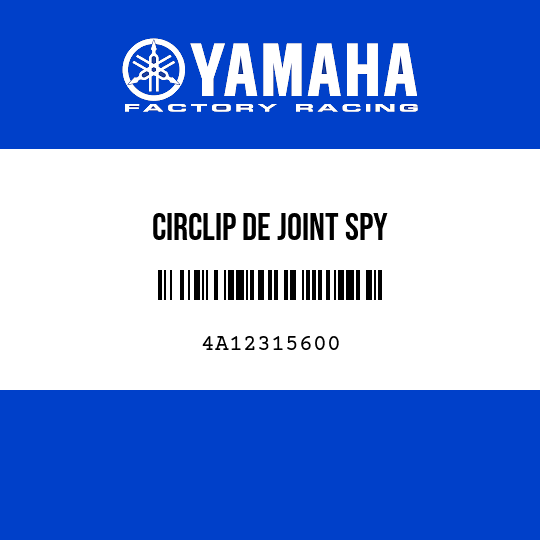 CIRCLIP DE JOINT SPY