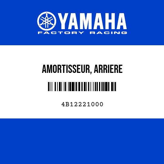 AMORTISSEUR, ARRIERE
