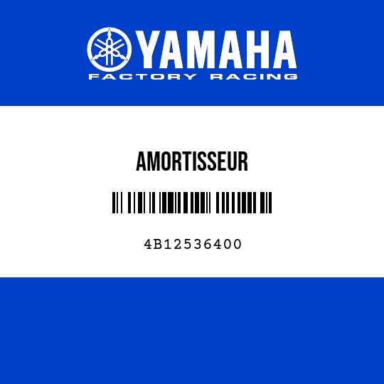AMORTISSEUR