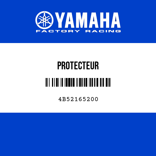 PROTECTEUR