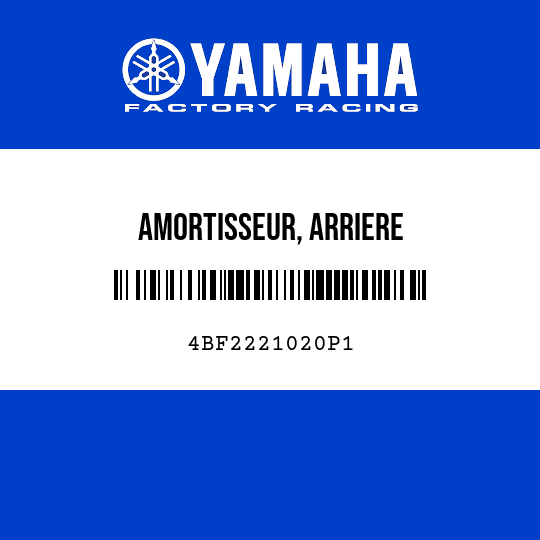 AMORTISSEUR, ARRIERE