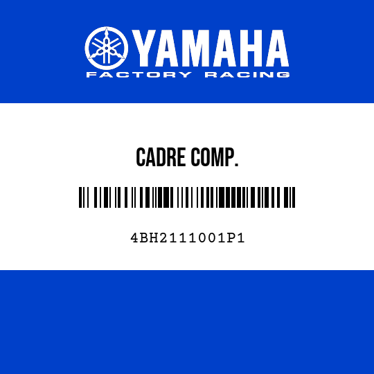 CADRE COMP.