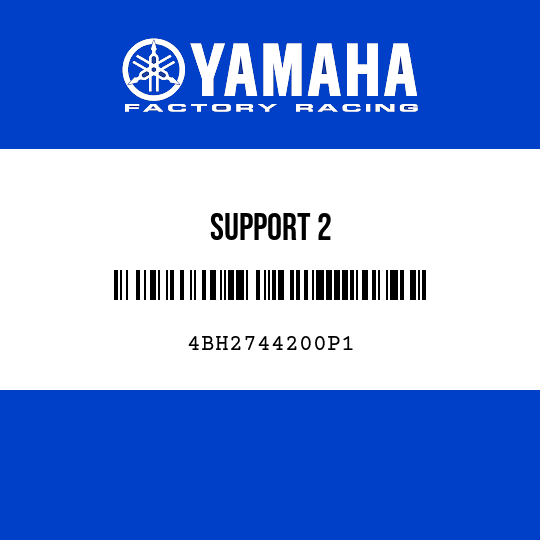 SUPPORT 2