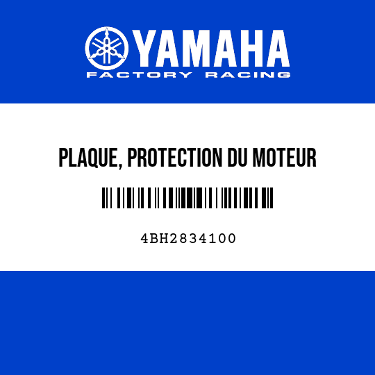 PLAQUE, PROTECTION DU MOTEUR