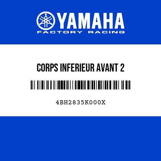 CORPS INFERIEUR AVANT 2