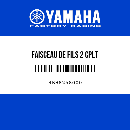 FAISCEAU DE FILS 2 CPLT
