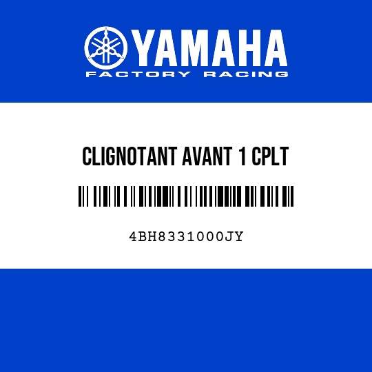 CLIGNOTANT AVANT 1 CPLT