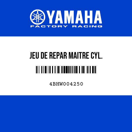 JEU DE REPAR MAITRE CYL.