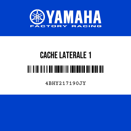CACHE LATERALE 1