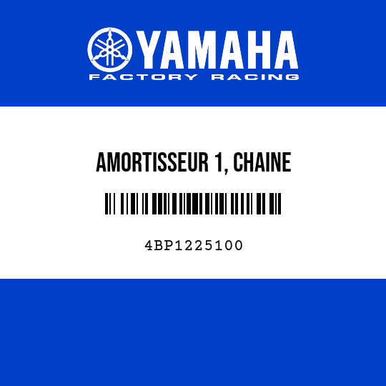 AMORTISSEUR 1, CHAINE