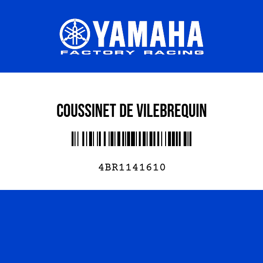 COUSSINET DE VILEBREQUIN