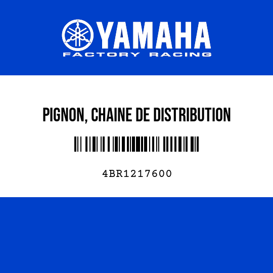 PIGNON, CHAINE DE DISTRIBUTION