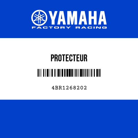 PROTECTEUR