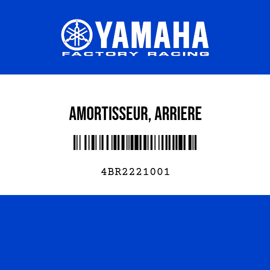 AMORTISSEUR, ARRIERE
