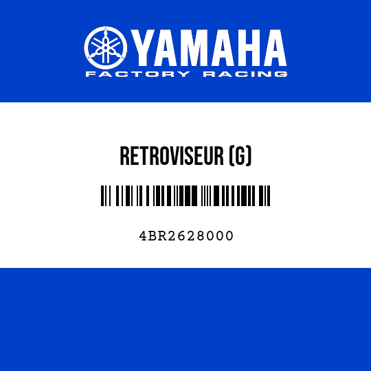 RETROVISEUR (G)