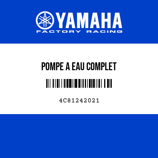 POMPE A EAU COMPLET