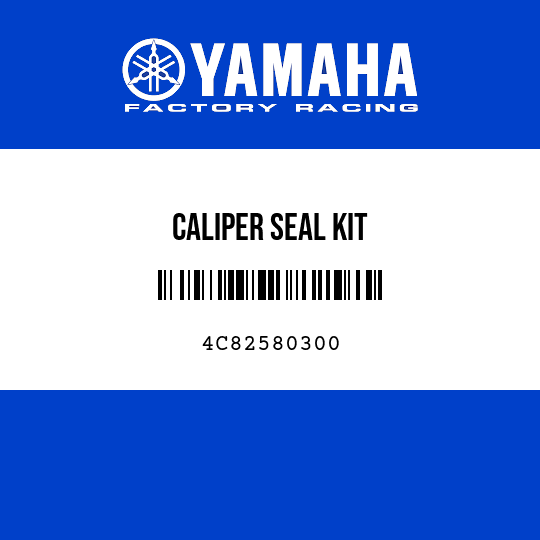 CALIPER SEAL KIT