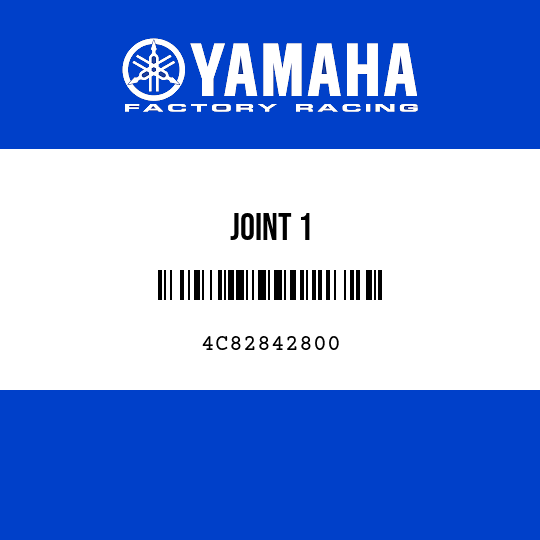 JOINT 1