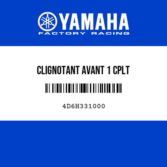 CLIGNOTANT AVANT 1 CPLT