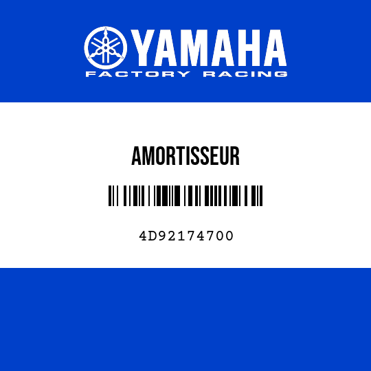 AMORTISSEUR