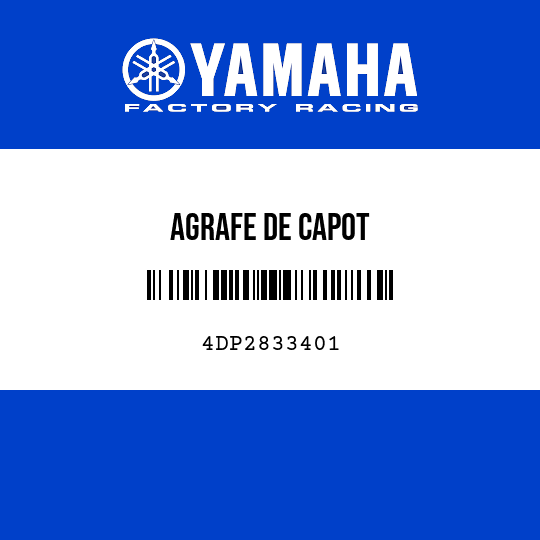 AGRAFE DE CAPOT