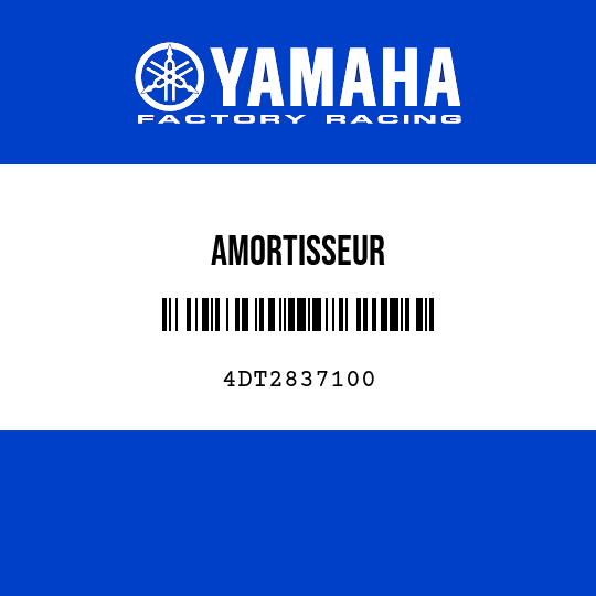 AMORTISSEUR