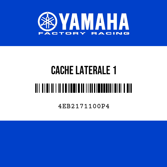 CACHE LATERALE 1