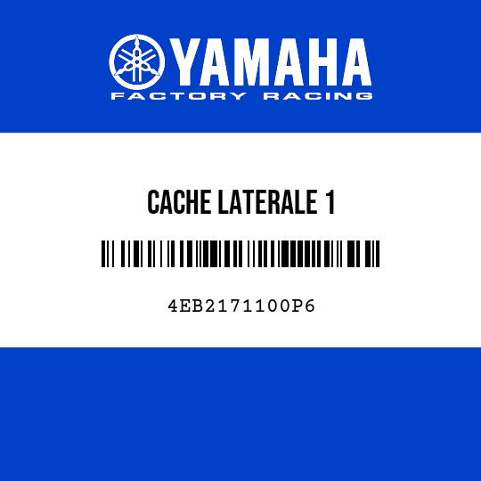 CACHE LATERALE 1