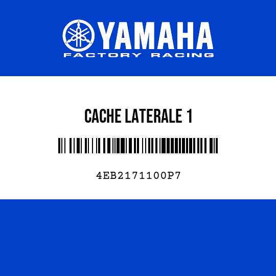 CACHE LATERALE 1