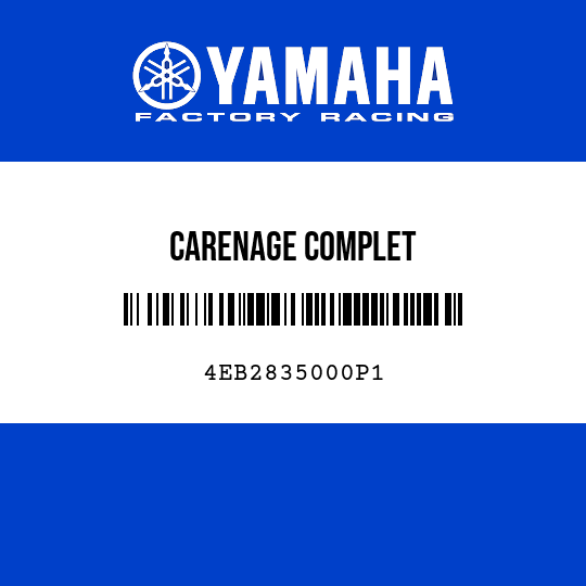 CARENAGE COMPLET