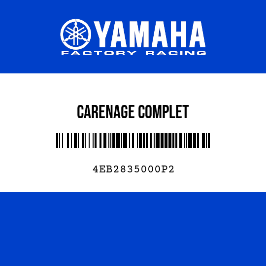 CARENAGE COMPLET