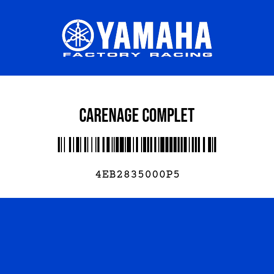 CARENAGE COMPLET
