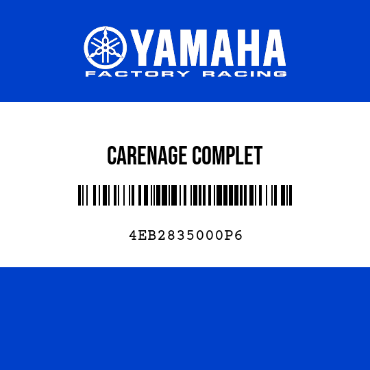 CARENAGE COMPLET