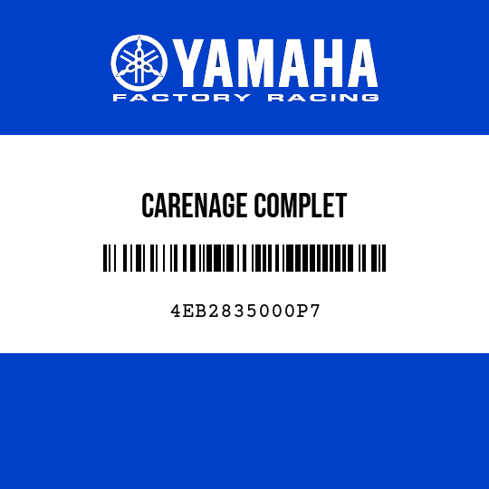 CARENAGE COMPLET